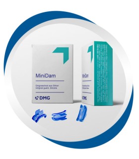 minidam