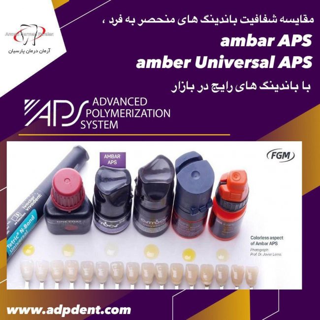 ambar aps